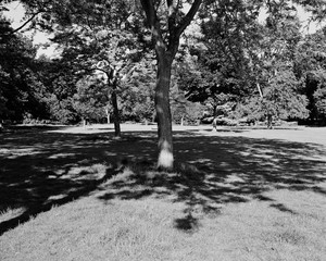 Parks - © Joséphine Löchen