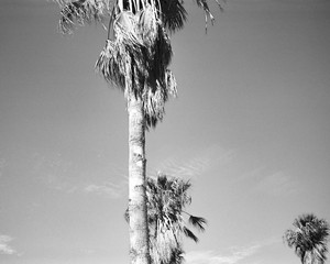 Parks - © Joséphine Löchen