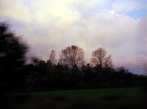 Parks - © Joséphine Löchen